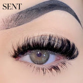 Daboujiebar SENT dramatic flared lash strips with full volume and lifted curl